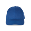 royal-blue