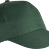 forest-green