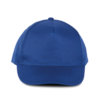 royal-blue