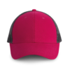 fuchsia-dark-grey