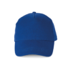 royal-blue