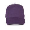 purple-dark-grey