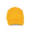yellow-slate-grey
