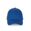 royal-blue
