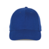 royal-blue