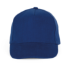royal-blue