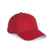 hibiscus-red-ivory