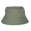 pale-khaki