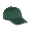 pineneedle-green