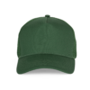 forest-green