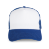 royal-blue-white