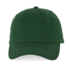 forest-green
