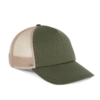 clover-green-beige-sand