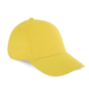 blazing-yellow