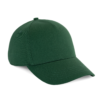 cedar-green