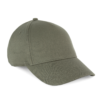 pale-khaki