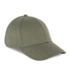 pale-khaki