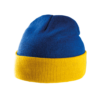 royal-blue-yellow