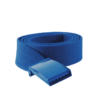 royal-blue