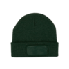 forest-green