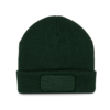 forest-green