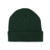 forest-green