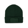 forest-green