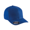 royal-blue