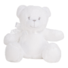 white-teddy