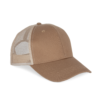 dark-camel-beige