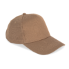 dark-camel