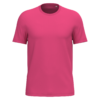 raspberry-sorbet