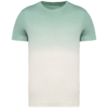 dip-dye-jade-green