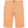 pastel-apricot