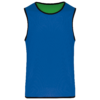 sporty-royal-blue-green