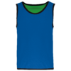 sporty-royal-blue-green