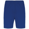 dark-royal-blue