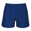 dark-royal-blue