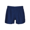 dark-royal-blue