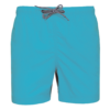light-turquoise
