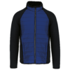 dark-royal-blue-black