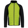 lime-black