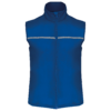 royal-blue