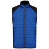 dark-royal-blue-black