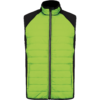 lime-black