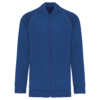 dark-royal-blue