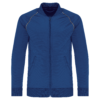 dark-royal-blue