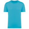 light-turquoise