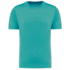 turquoise-blue-heather