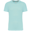 ice-mint